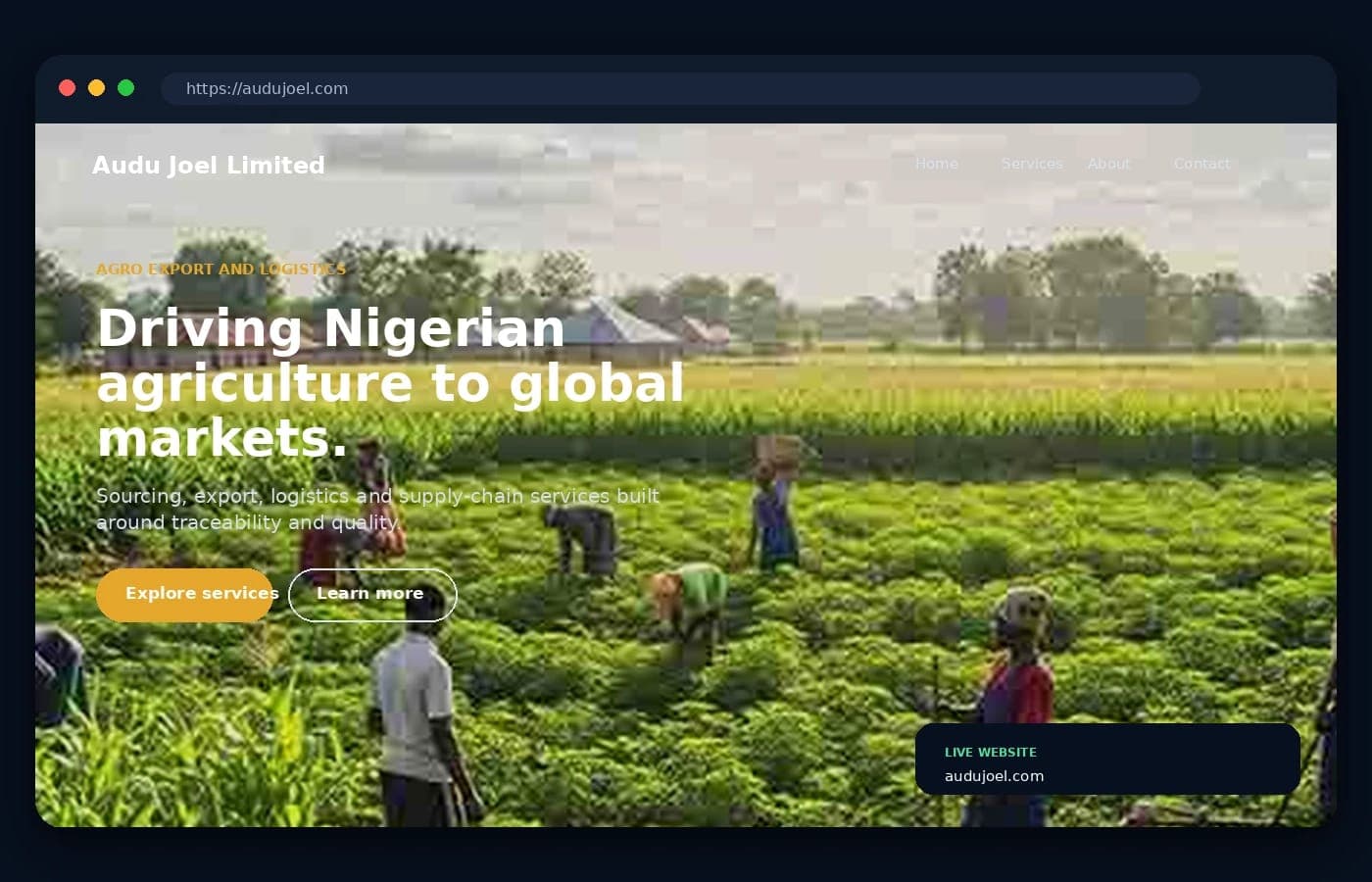 Audu Joel Limited interface preview