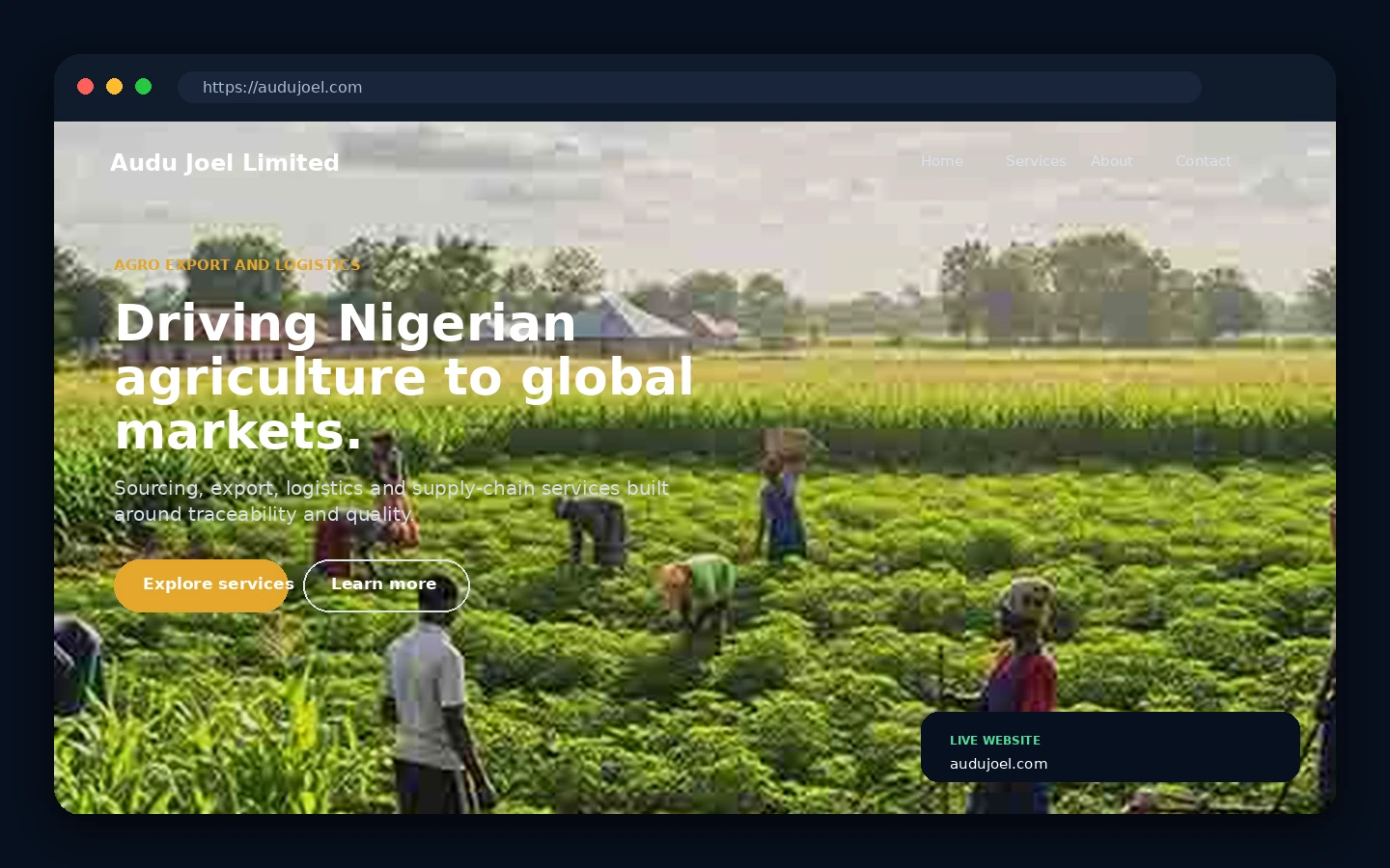 Audu Joel Limited interface preview